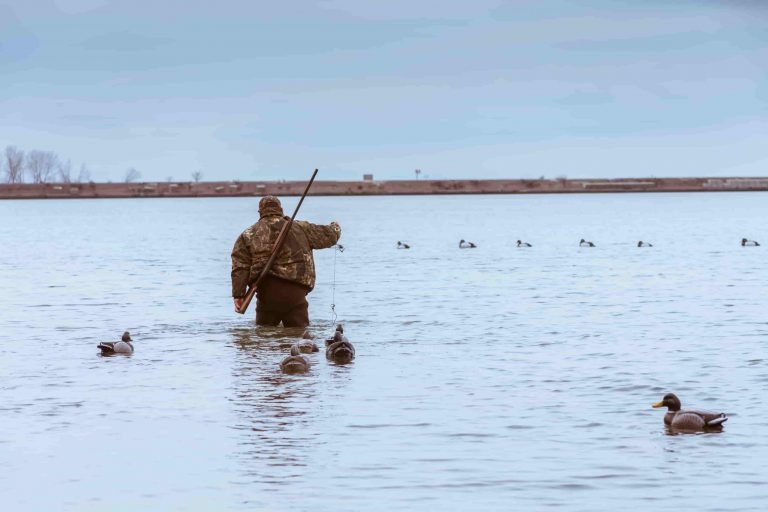 Unleashing the Adventure: Your Ultimate Guide to Duck Hunting in Minnesota